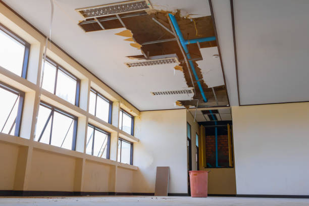 Best Ceiling water damage repair  in Waldo, FL