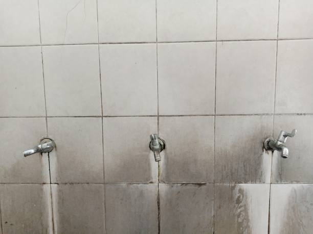 Best Water damage restoration mold remediation  in Waldo, FL