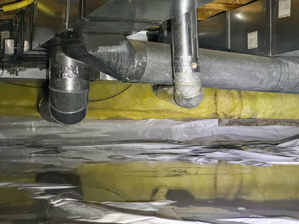 Best Flooded house restoration  in Waldo, FL
