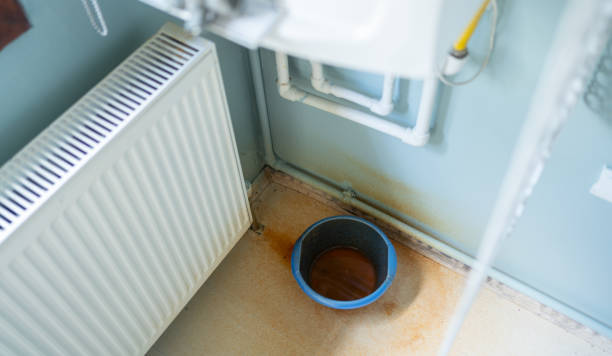 Best Emergency water extraction  in Waldo, FL