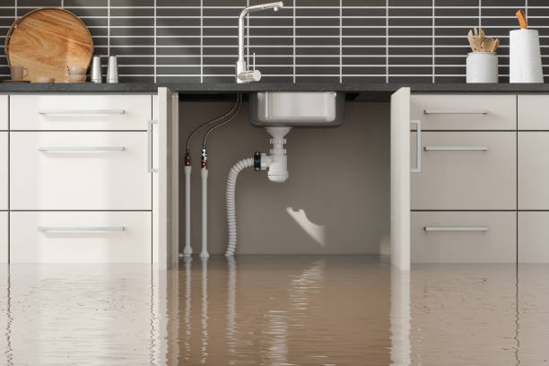 Best Fire Damage Restoration  in Waldo, FL